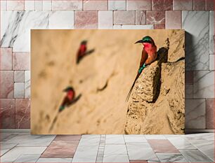 Πίνακας, Birds in the Desert Πουλιά στην Έρημο