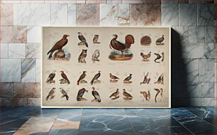 Πίνακας, Birds of Prey/Scratching Birds or Gallinaceous Birds, Smithsonian National Museum of African Art