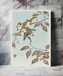 Πίνακας, Birds on a branch (1900 - 1936) by Ohara Koson (1877-1945)