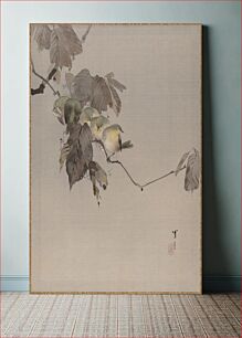 Πίνακας, Birds on a Branch by Watanabe Seitei