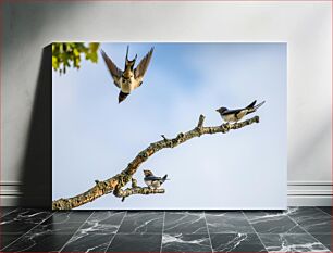 Πίνακας, Birds on a Branch Πουλιά σε ένα κλαδί
