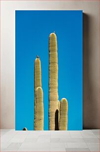 Πίνακας, Birds on Cactus Against Clear Sky Πουλιά στον κάκτο ενάντια στον καθαρό ουρανό