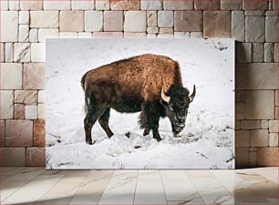 Πίνακας, Bison in the Snow Βίσωνας στο χιόνι