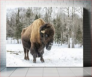 Πίνακας, Bison in Winter Βίσωνας τον Χειμώνα