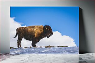 Πίνακας, Bison on Snowy Hill Bison στο Snowy Hill