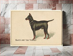 Πίνακας, Black and Tan Terrier, from the Dogs of the World series for Old Judge Cigarettes