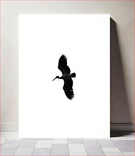 Πίνακας, Black and White Bird in Flight Ασπρόμαυρο πουλί σε πτήση