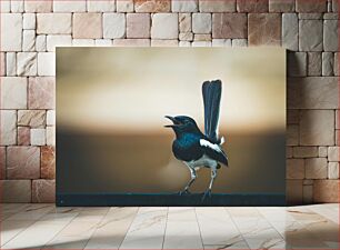 Πίνακας, Black and White Bird on a Ledge Ασπρόμαυρο πουλί σε μια προεξοχή
