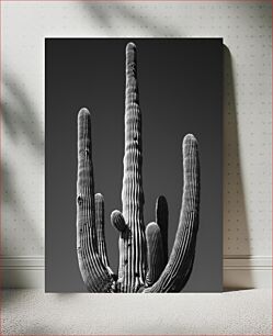 Πίνακας, Black and White Cactus Ασπρόμαυρος Κάκτος