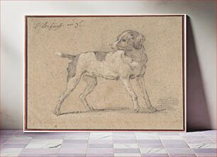 Πίνακας, Black and White Dog, Head Turned to the Left by Jean-Baptiste Huet I