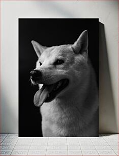 Πίνακας, Black and White Dog Portrait Ασπρόμαυρο Πορτρέτο Σκύλου