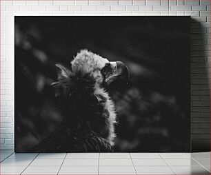Πίνακας, Black and White Eagle Ασπρόμαυρος Αετός