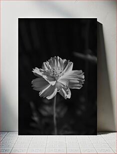 Πίνακας, Black and White Flower Μαύρο και άσπρο λουλούδι