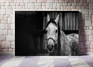 Πίνακας, Black and White Horse in Stable Μαύρο και άσπρο άλογο στο στάβλο