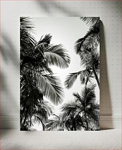 Πίνακας, Black and White Palm Trees Ασπρόμαυροι φοίνικες