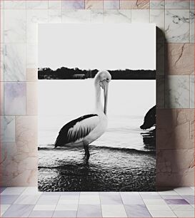 Πίνακας, Black and White Pelican by the Water Black and White Pelican by the Water