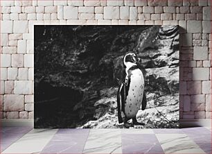 Πίνακας, Black and White Penguin Ασπρόμαυρος Πιγκουίνος