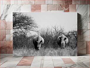 Πίνακας, Black and White Rhinos in the Wilderness Ασπρόμαυροι ρινόκεροι στην ερημιά