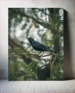 Πίνακας, Black Bird in Nature Μαύρο πουλί στη φύση