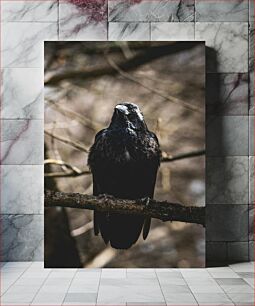 Πίνακας, Black Bird on Branch Μαύρο πουλί στο κλαδί
