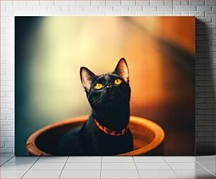 Πίνακας, Black Cat with Golden Eyes Μαύρη γάτα με χρυσά μάτια