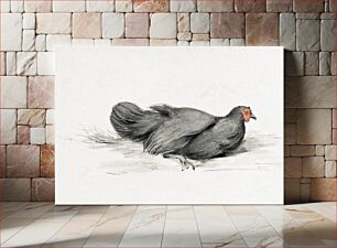 Πίνακας, Black chicken (1775–1833) by Jean Bernard
