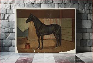 Πίνακας, Black Cloud, a horse in stable (1882) Scott Leighton