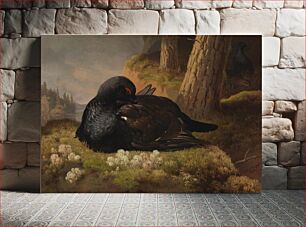 Πίνακας, Black grouse, 1864, by Ferdinand von Wright
