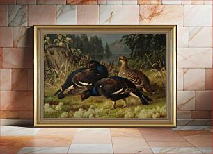 Πίνακας, Black grouse, two cocks and a hen, 1875, by Ferdinand von Wright