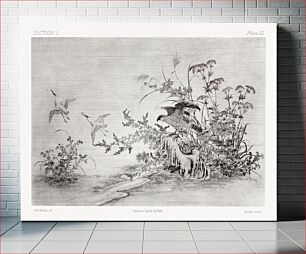 Πίνακας, Black ink painting of birds and plants, traditional painting by G.A. Audsley-Japanese illustration