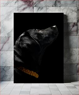 Πίνακας, Black Labrador Retriever in Profile Black Labrador Retriever στο προφίλ