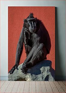 Πίνακας, Black Monkey Seated on a Rock Μαύρος πίθηκος καθισμένος σε ένα βράχο