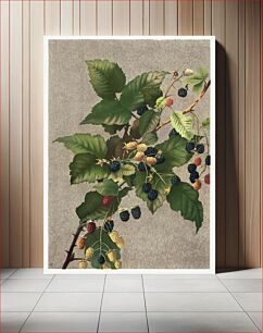 Πίνακας, Blackberries (1887) in high resolution by L. Prang & Co