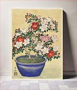 Πίνακας, Blooming azalea in blue pot (1920 - 1930) by Ohara Koson (1877-1945)