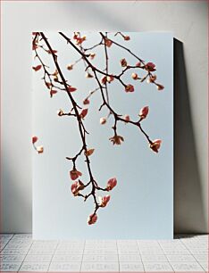 Πίνακας, Blooming Branches Against Sky Ανθισμένα κλαδιά ενάντια στον ουρανό