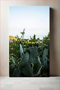 Πίνακας, Blooming Cacti in Nature Ανθισμένοι κάκτοι στη φύση