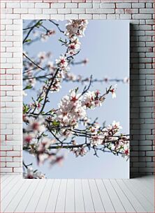 Πίνακας, Blooming Cherry Blossoms Ανθισμένα άνθη κερασιάς