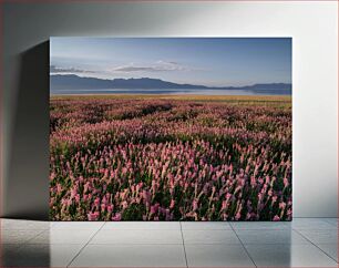 Πίνακας, Blooming Flower Field by the Lake Ανθισμένο Πεδίο λουλουδιών δίπλα στη Λίμνη