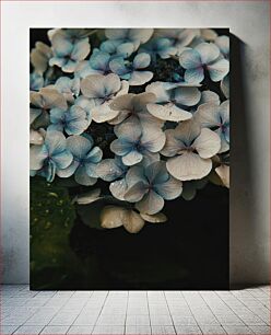 Πίνακας, Blooming Hydrangeas Ανθισμένες ορτανσίες