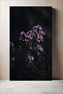 Πίνακας, Blooming in the Dark Ανθίζει στο σκοτάδι