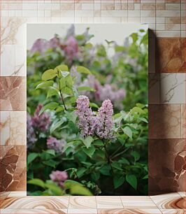 Πίνακας, Blooming Lilac Flowers Ανθισμένα λιλά λουλούδια