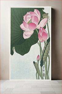 Πίνακας, Blooming lotus flowers (1920 - 1930) by Ohara Koson (1877-1945)