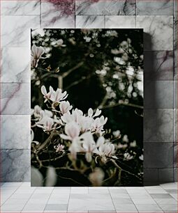 Πίνακας, Blooming Magnolia Ανθισμένη Μανόλια