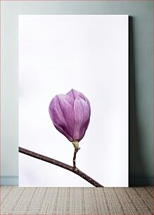 Πίνακας, Blooming Magnolia Ανθισμένη Μανόλια