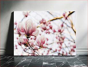 Πίνακας, Blooming Magnolias in Spring Ανθισμένες μανόλιες την άνοιξη