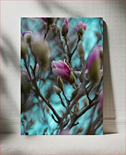 Πίνακας, Blooming Magnolias Ανθισμένες Μανόλιες