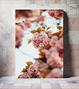 Πίνακας, Blooming Pink Flowers Ανθισμένα ροζ λουλούδια