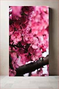 Πίνακας, Blooming Pink Flowers Ανθισμένα ροζ λουλούδια