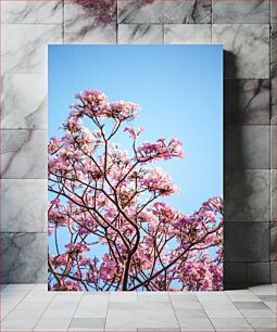 Πίνακας, Blooming Pink Flowers on Tree Against Blue Sky Ανθισμένα ροζ λουλούδια στο δέντρο ενάντια στο μπλε ουρανό