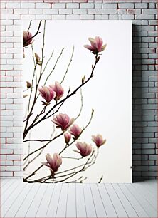 Πίνακας, Blooming Pink Magnolia Flowers Ανθισμένα ροζ λουλούδια Magnolia